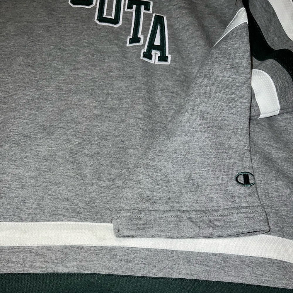 Champion Hoodie Minnesota Wild Embroidered Collegiate  Football Sweatshirt New - Picture 4 of 5